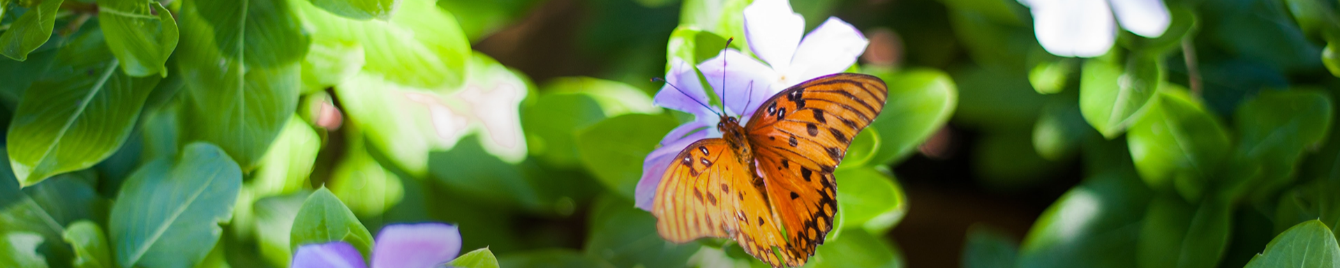 Cover photo for Betty June Ridgley's Obituary
