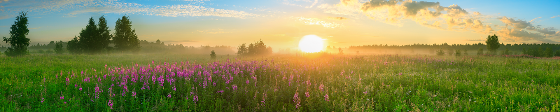 Cover photo for Debra Lynn Aaron's Obituary