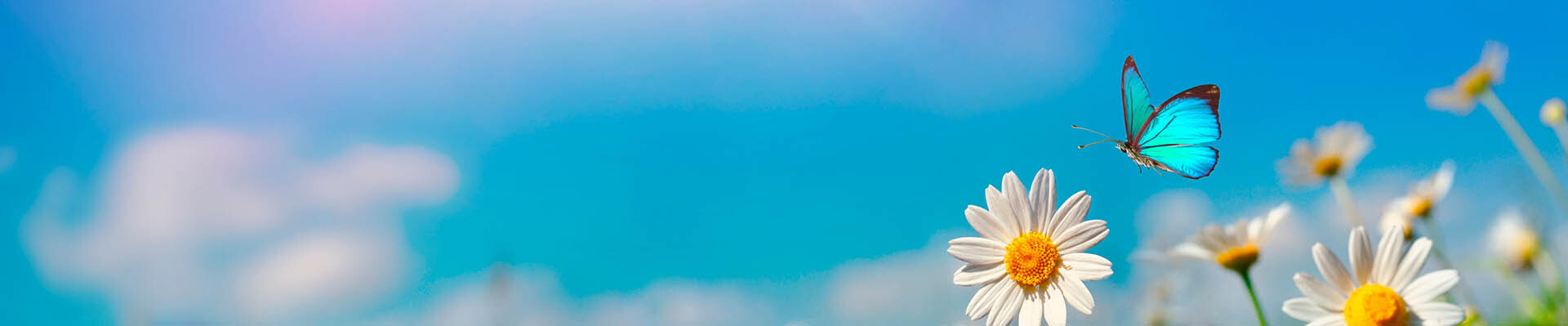 Cover photo for Carolyn Edith Robinson's Obituary