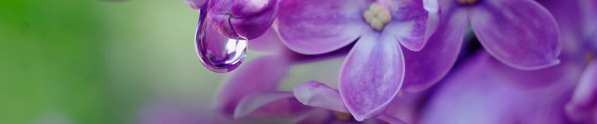 Cover photo for Patricia Ann Beai's Obituary